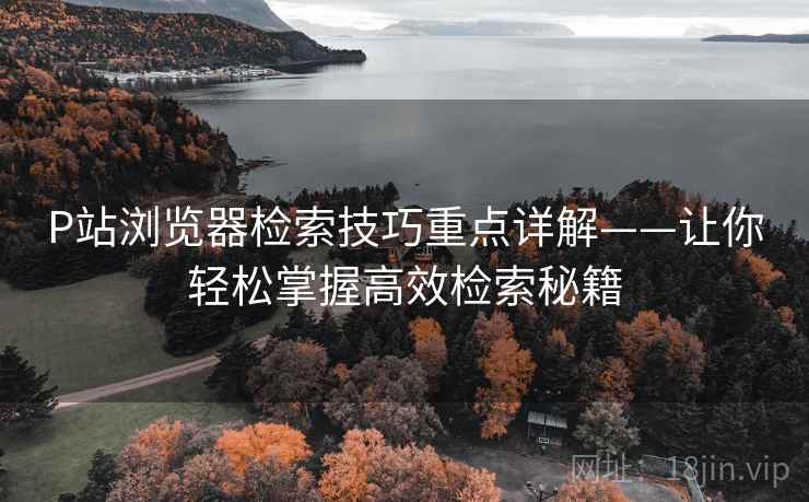 P站浏览器检索技巧重点详解——让你轻松掌握高效检索秘籍