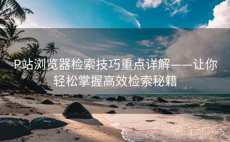 P站浏览器检索技巧重点详解——让你轻松掌握高效检索秘籍