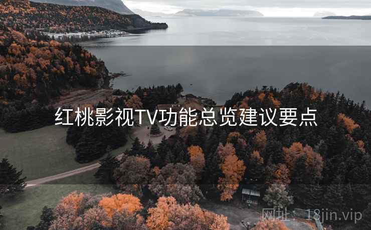 红桃影视TV功能总览建议要点
