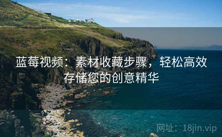 蓝莓视频：素材收藏步骤，轻松高效存储您的创意精华