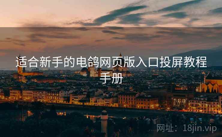 适合新手的电鸽网页版入口投屏教程手册