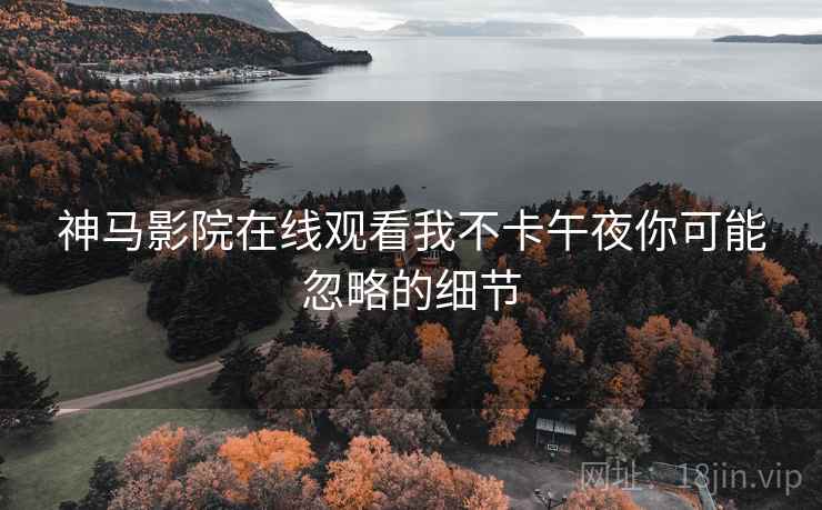 神马影院在线观看我不卡午夜你可能忽略的细节