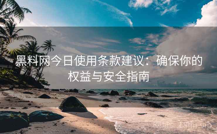 黑料网今日使用条款建议：确保你的权益与安全指南