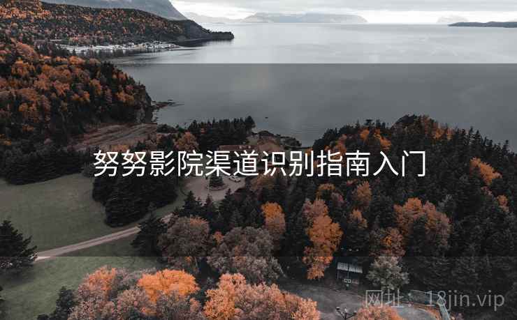 努努影院渠道识别指南入门
