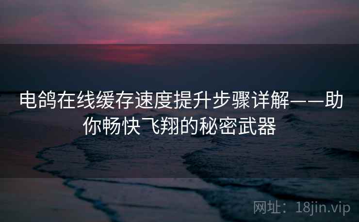 电鸽在线缓存速度提升步骤详解——助你畅快飞翔的秘密武器