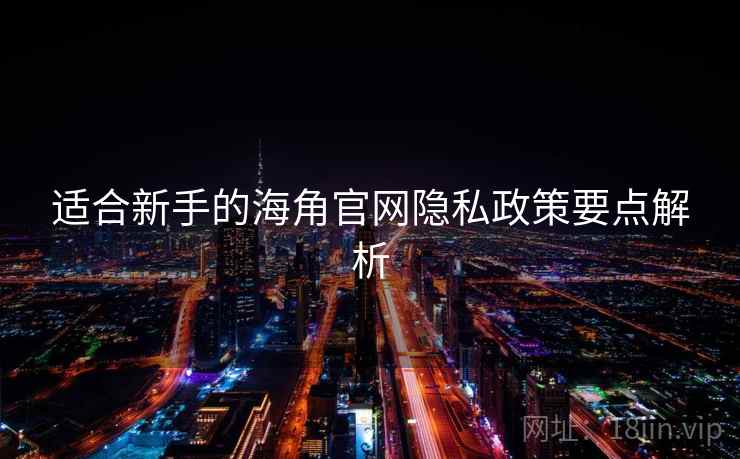 适合新手的海角官网隐私政策要点解析