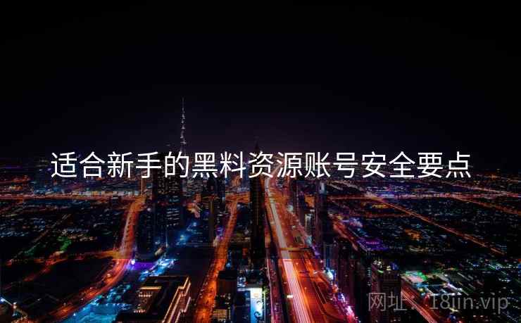 适合新手的黑料资源账号安全要点