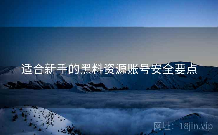 适合新手的黑料资源账号安全要点