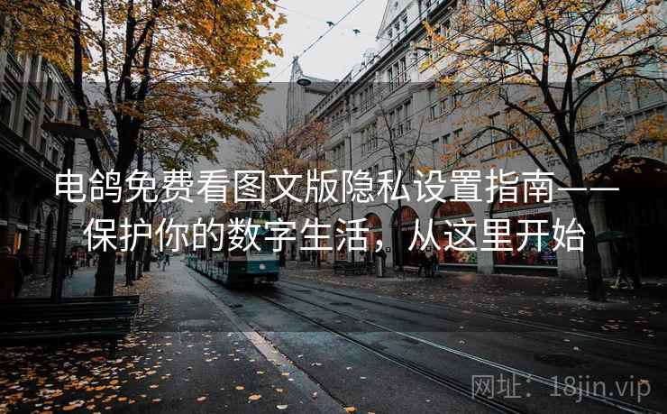 电鸽免费看图文版隐私设置指南——保护你的数字生活，从这里开始
