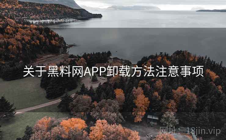 关于黑料网APP卸载方法注意事项