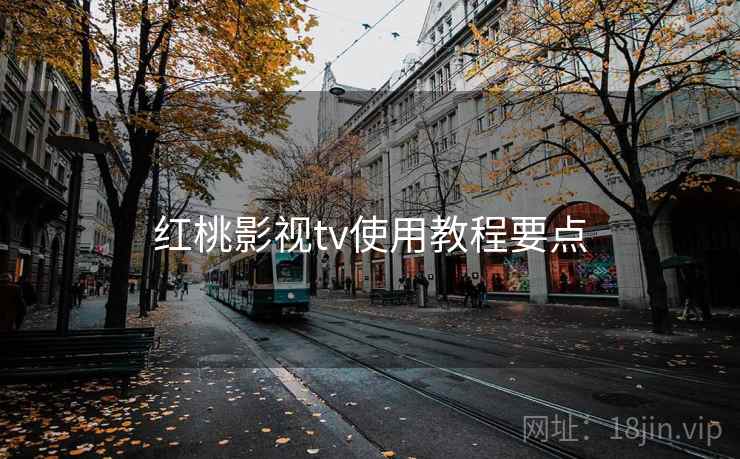 红桃影视tv使用教程要点