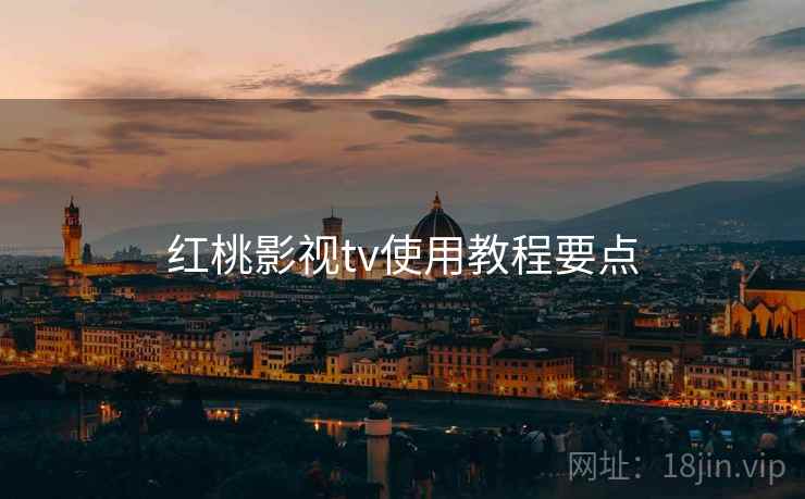 红桃影视tv使用教程要点