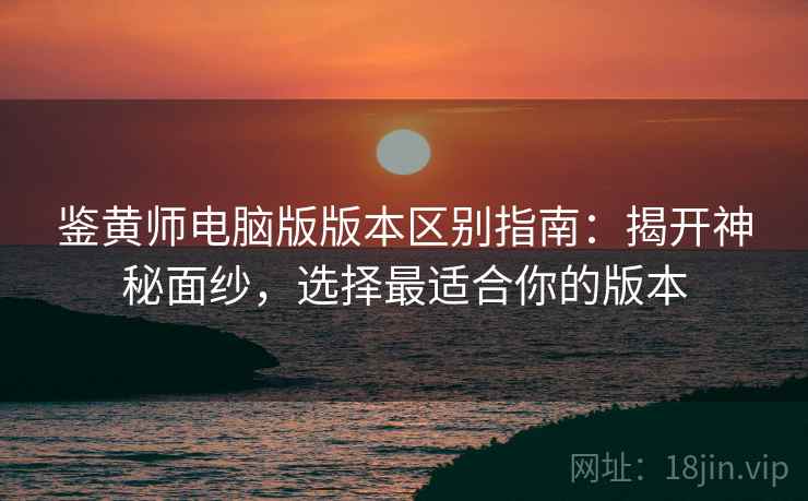 鉴黄师电脑版版本区别指南：揭开神秘面纱，选择最适合你的版本