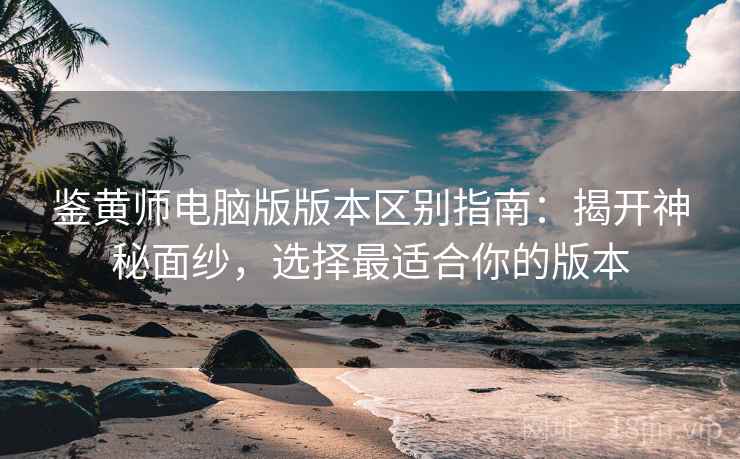 鉴黄师电脑版版本区别指南：揭开神秘面纱，选择最适合你的版本