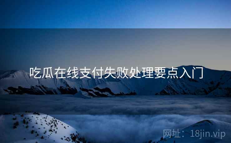 吃瓜在线支付失败处理要点入门