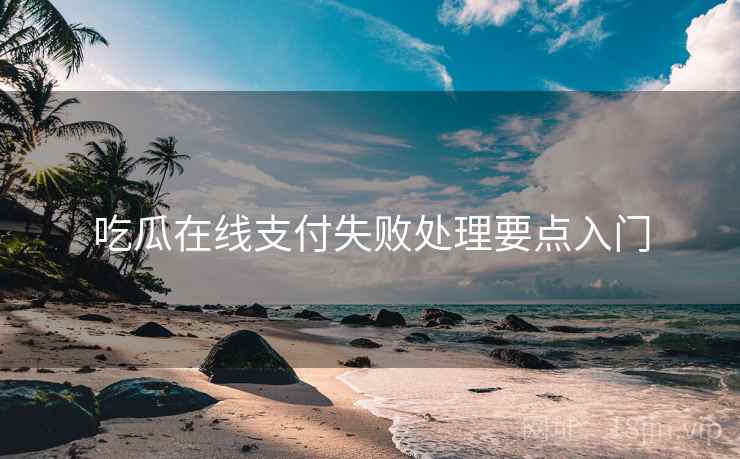 吃瓜在线支付失败处理要点入门