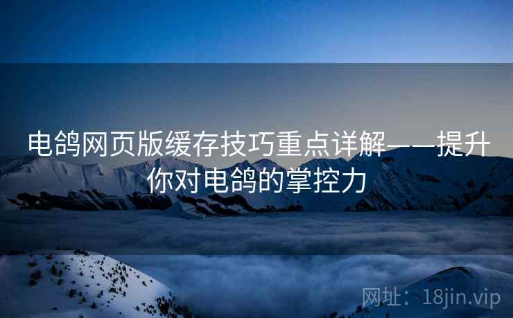 电鸽网页版缓存技巧重点详解——提升你对电鸽的掌控力