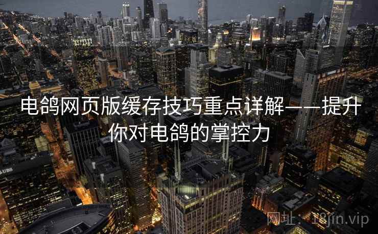 电鸽网页版缓存技巧重点详解——提升你对电鸽的掌控力