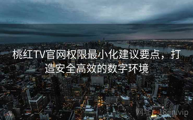 桃红TV官网权限最小化建议要点，打造安全高效的数字环境