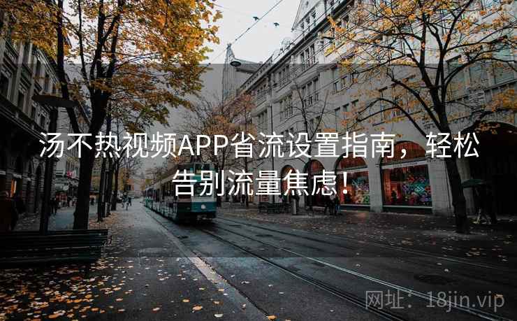 汤不热视频APP省流设置指南，轻松告别流量焦虑！