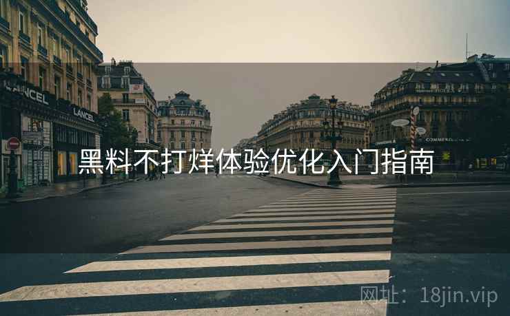 黑料不打烊体验优化入门指南