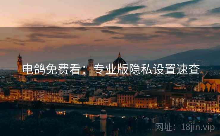 电鸽免费看：专业版隐私设置速查
