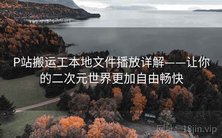 P站搬运工本地文件播放详解——让你的二次元世界更加自由畅快
