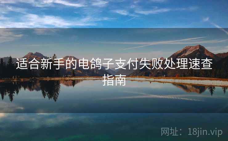 适合新手的电鸽子支付失败处理速查指南