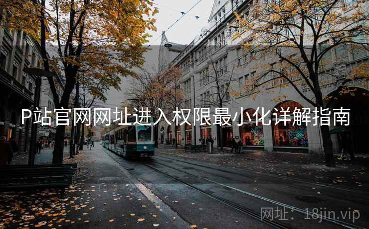 P站官网网址进入权限最小化详解指南